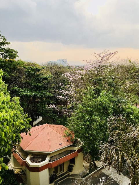 nature