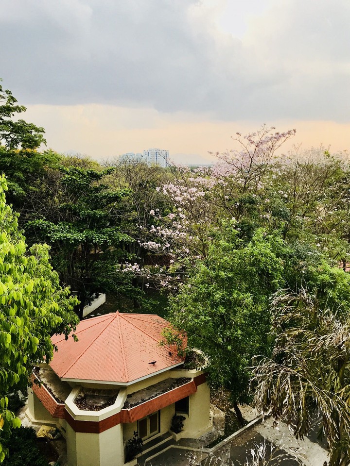 nature