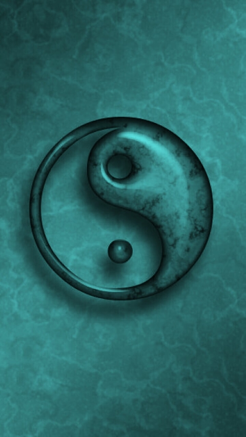 kung fu