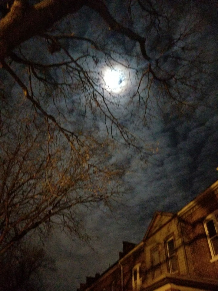 full moon