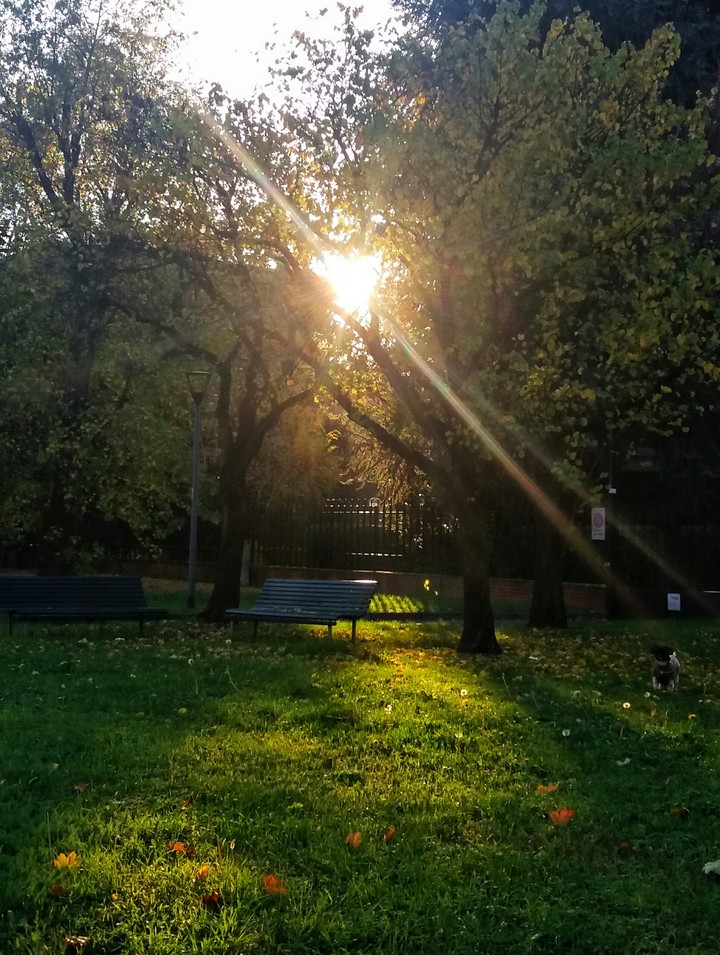sun