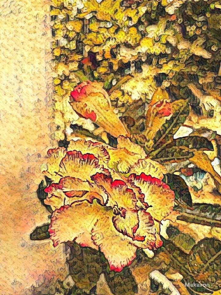 flower