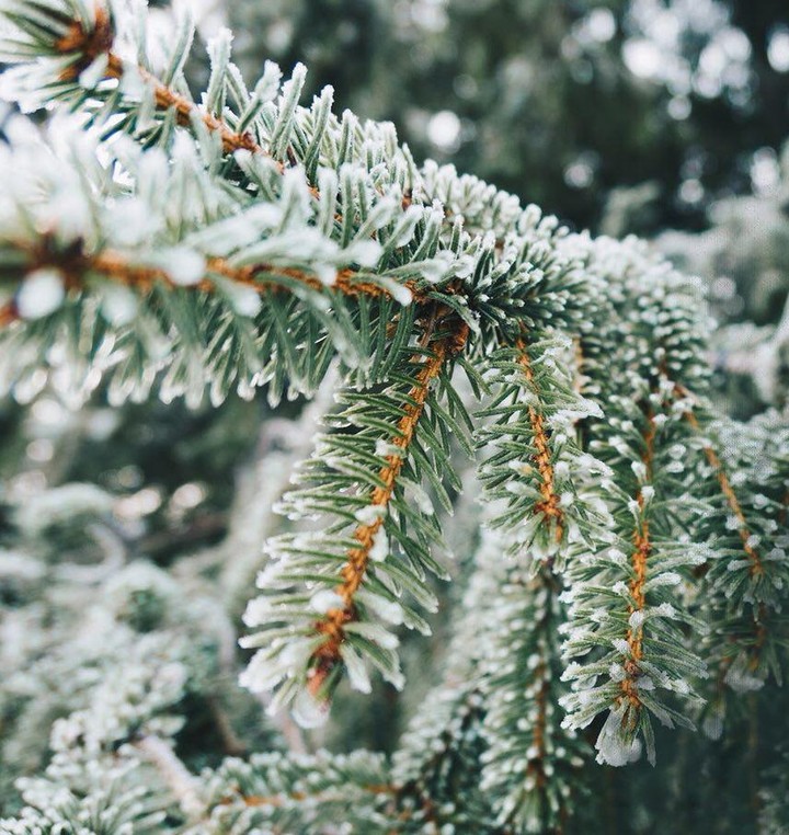 snow