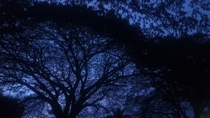 Glory of Nature