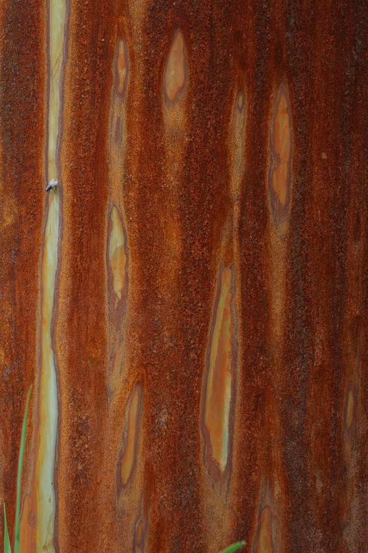 Metal