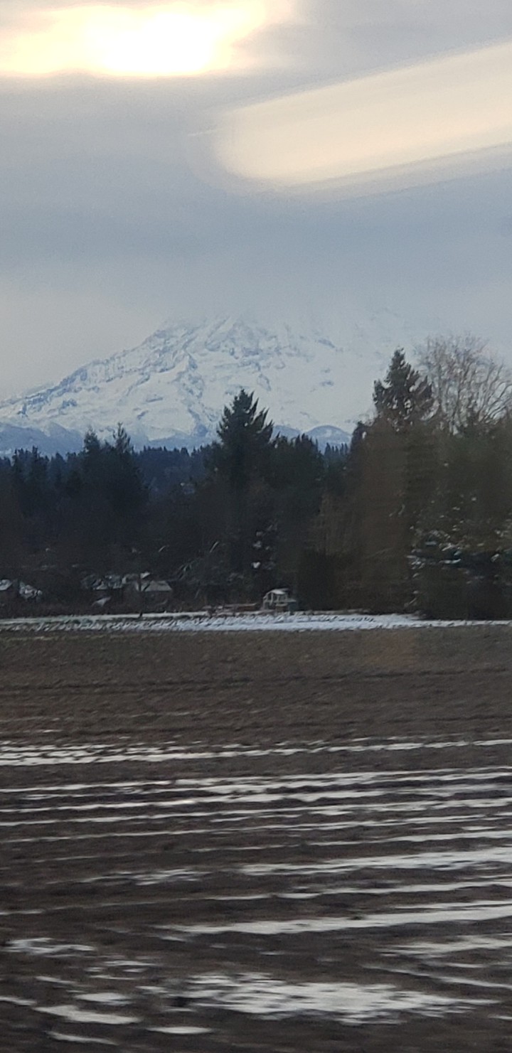 Rainier