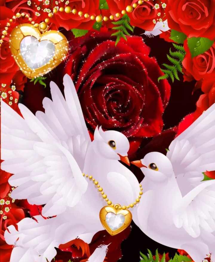 love