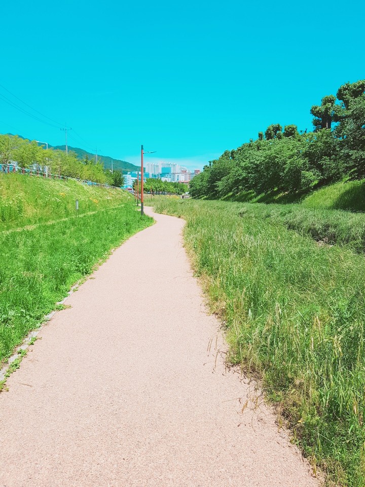 산책길