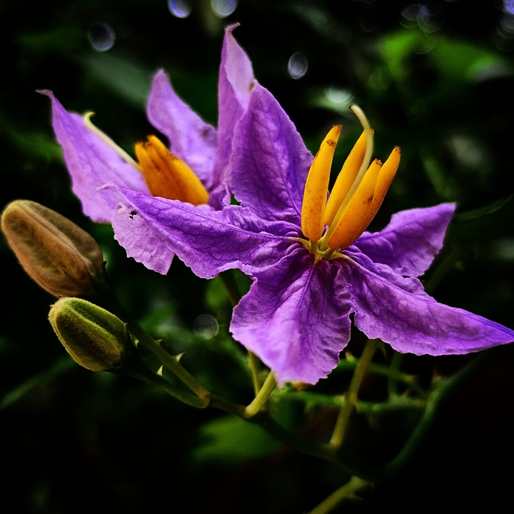 my photography