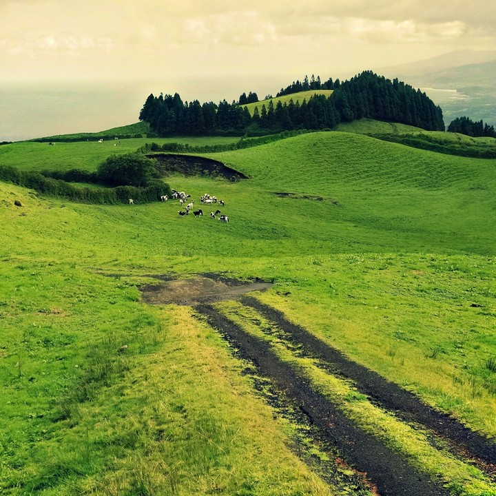 Azores