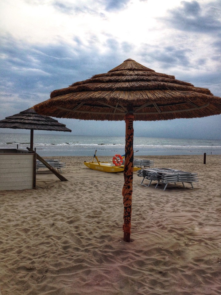 mare