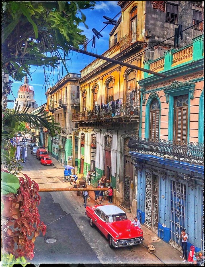 Havana life