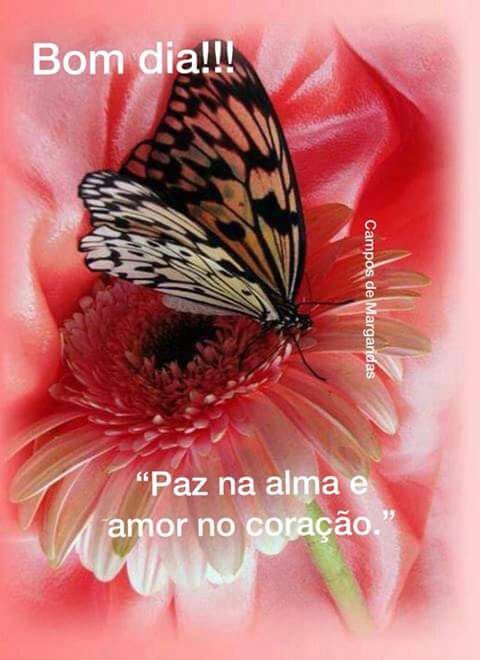 Lindo dia