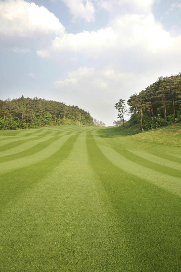 Golf Course
