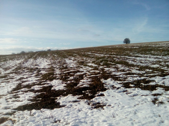 Landschaft
