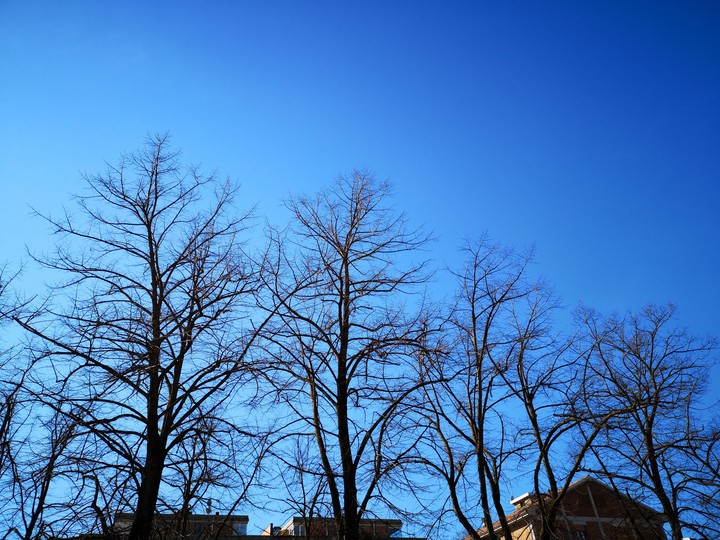 Blue Sky