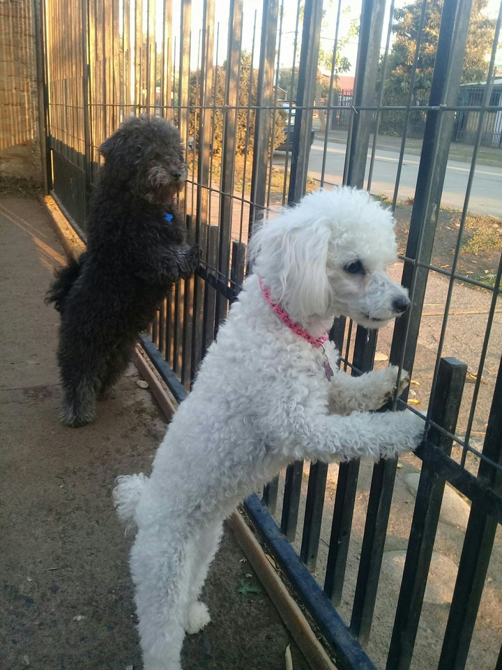 Ray y mia