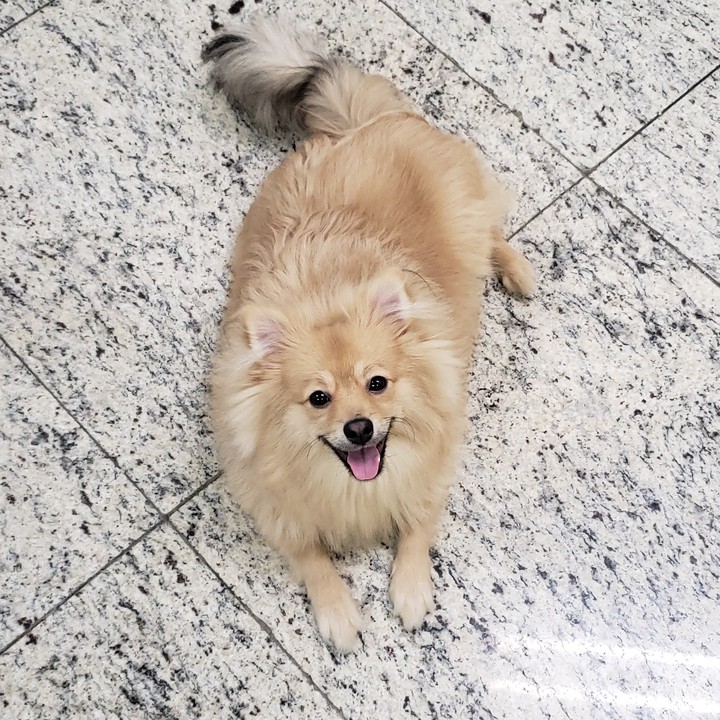 wally