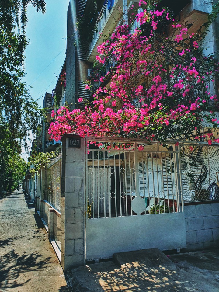 home & flower