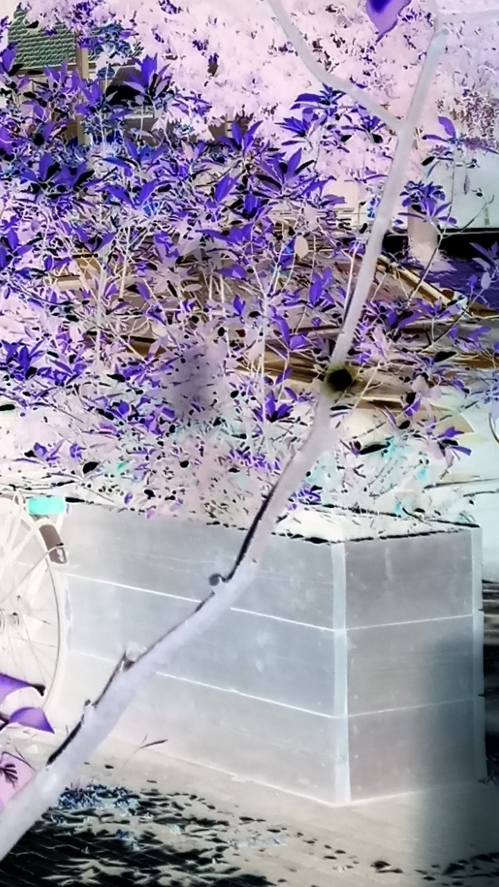 super plants