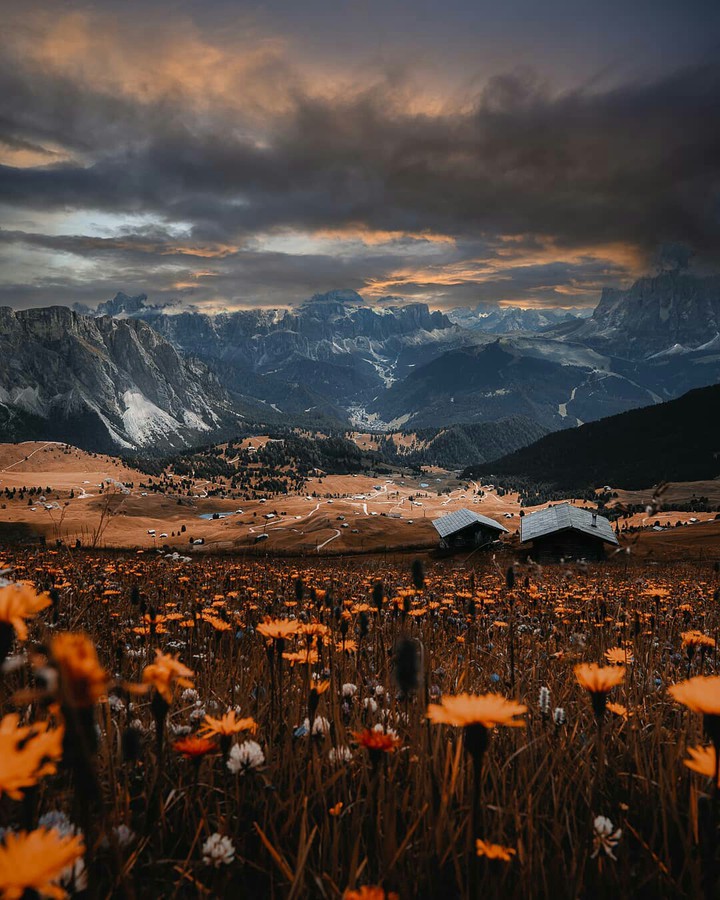 #Beautiful Landscape