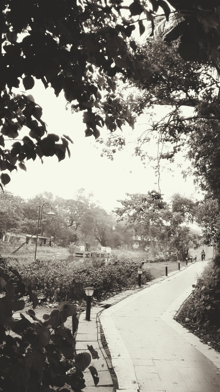 roads