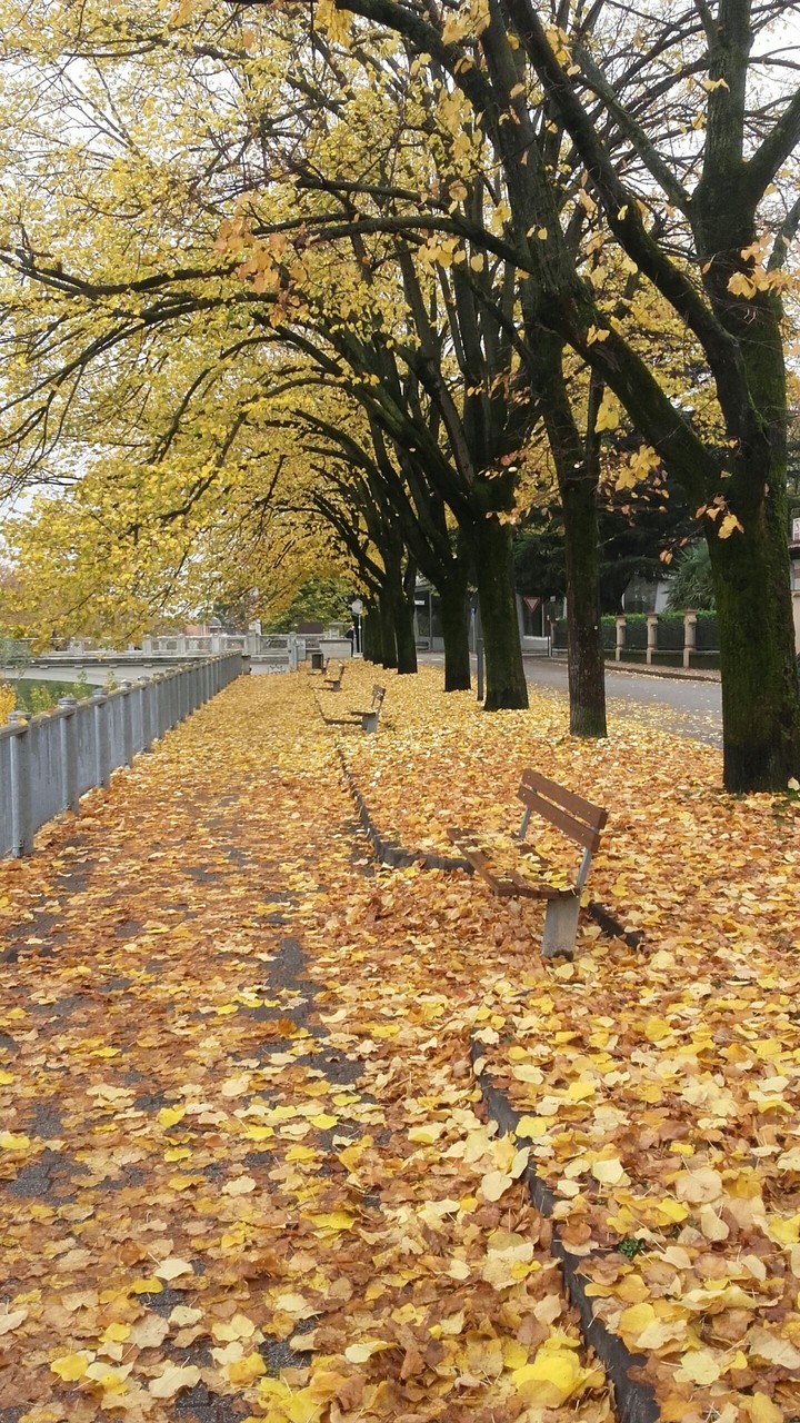 Yellow City