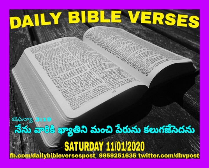 DAILY BIBLE VERSES