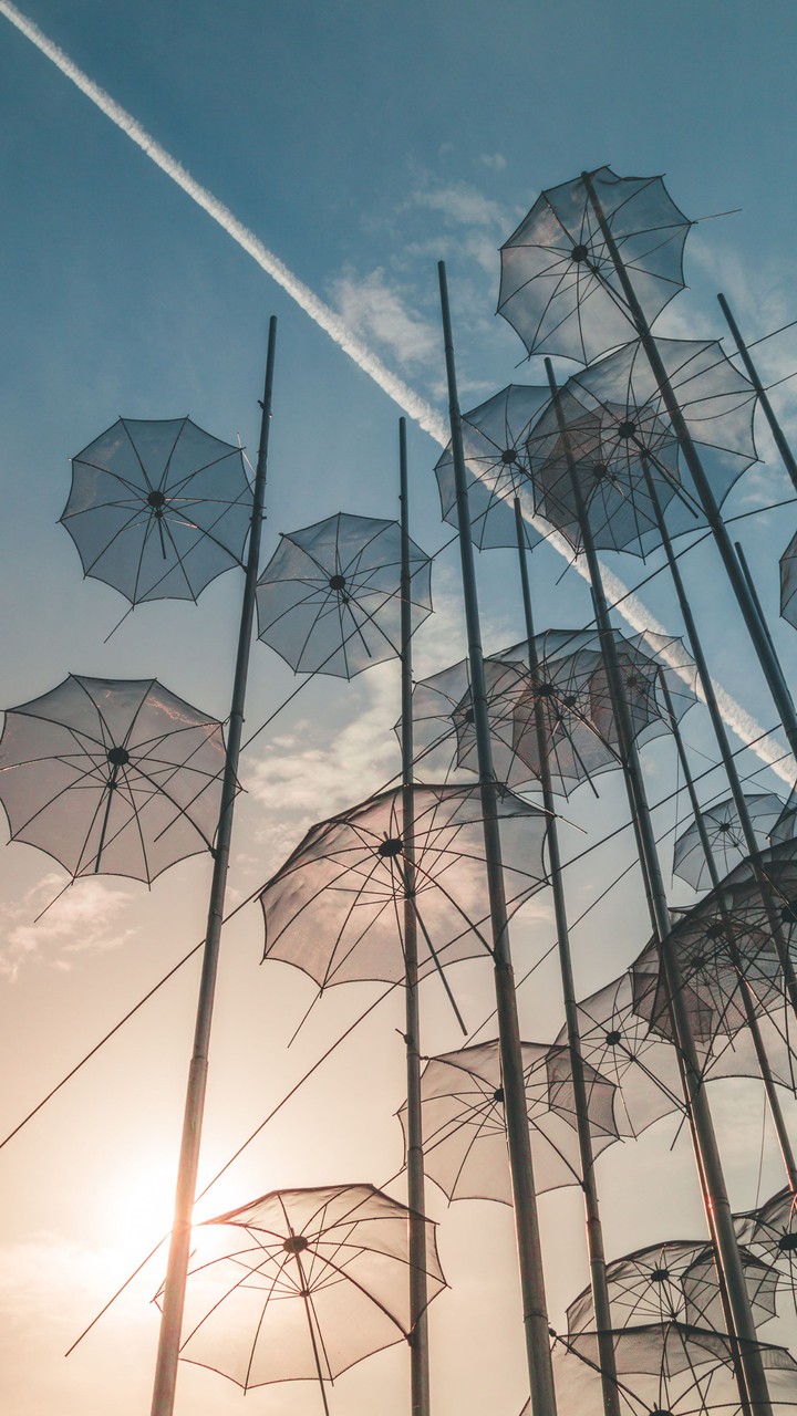 umbrella