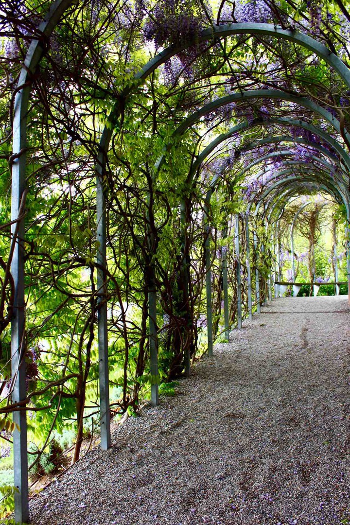 bower