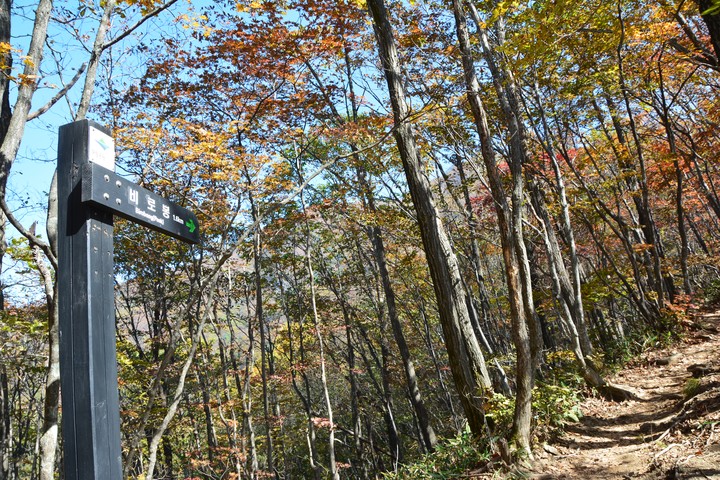 치악산이미지