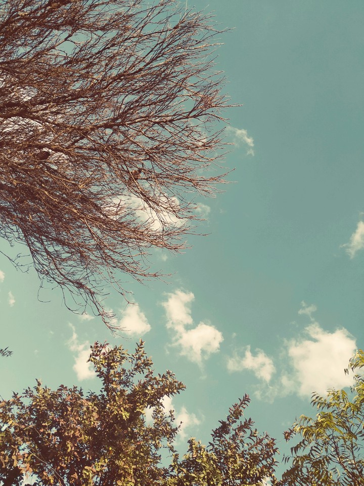 Beauty of Nature
