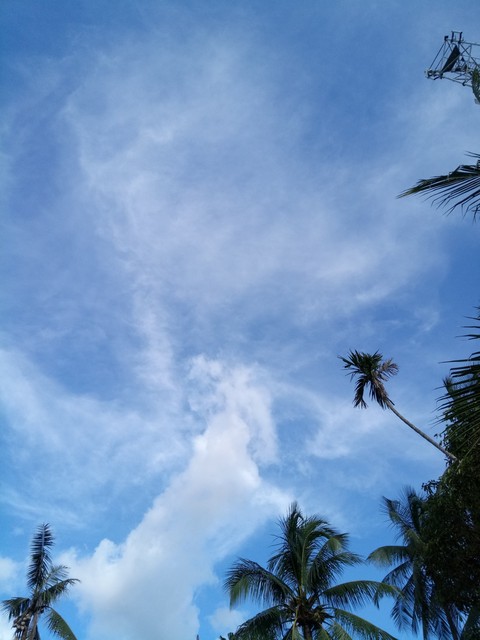 clean sky