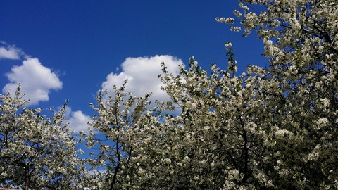 The presents of May [part 2]