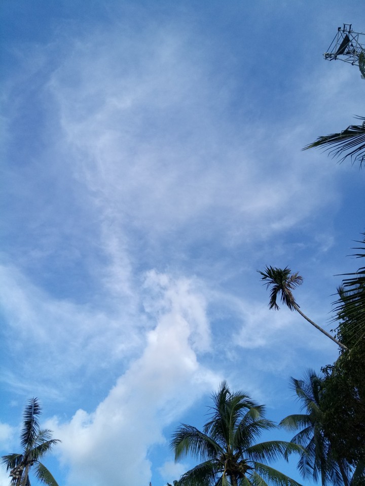 clean sky