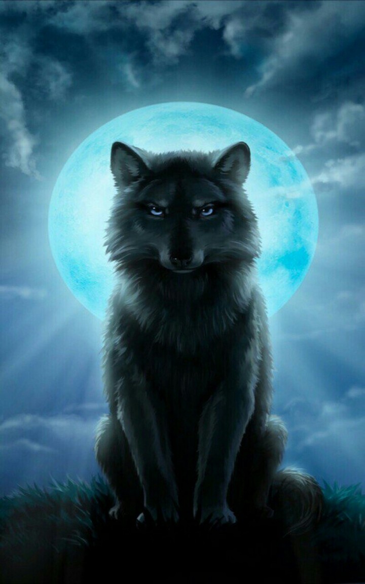 wolf