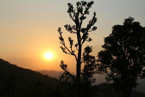 Evening at Uttrakhand