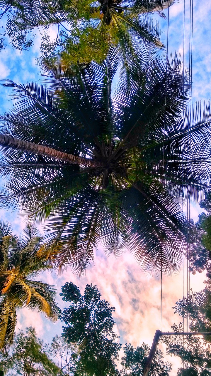 upside down