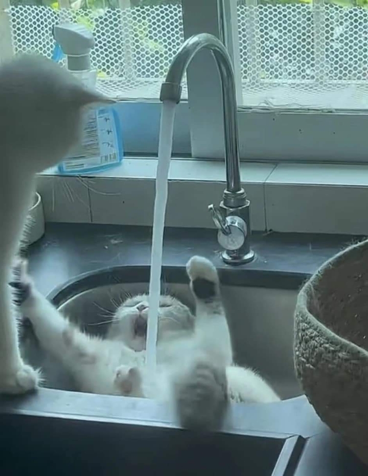 .