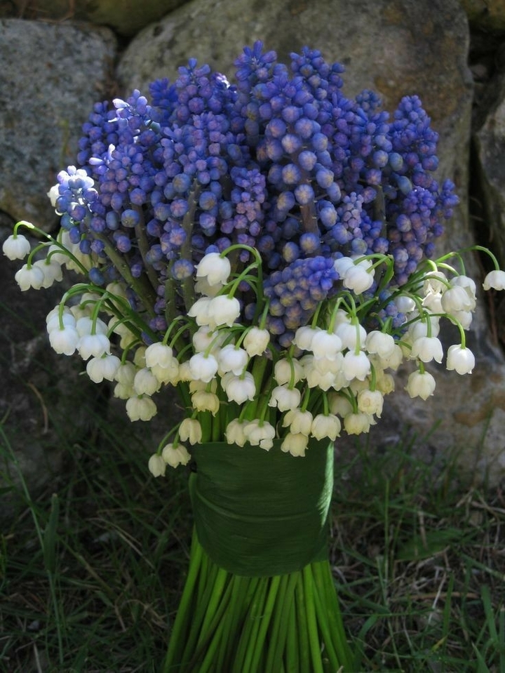 bouquet