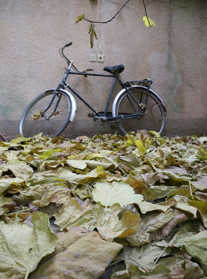 bicycle