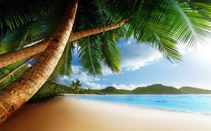 CORNER OF SPLENDID PARADISE