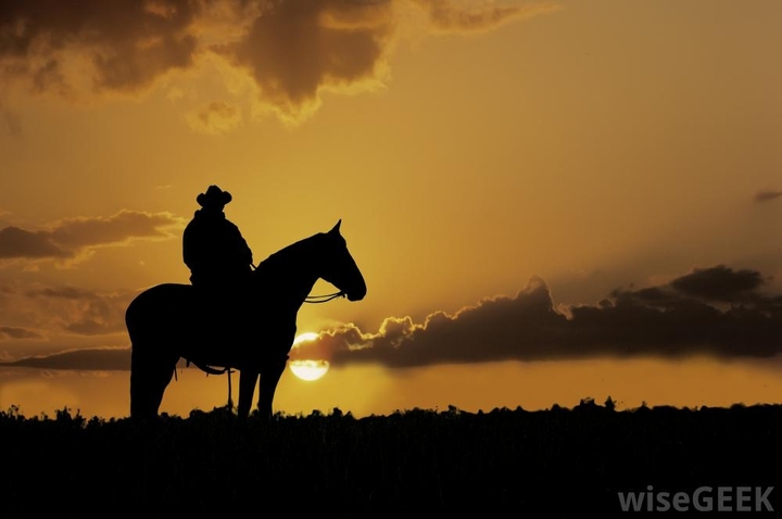 alone rider