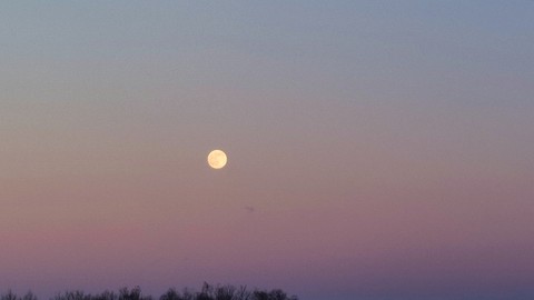 moon