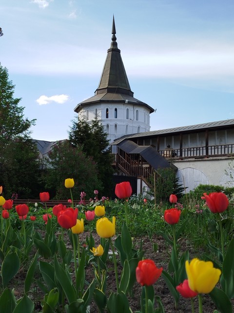 обои Garden, steeple