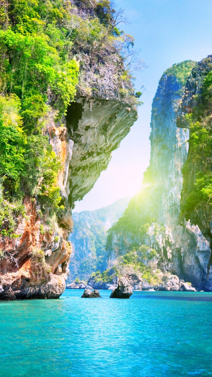 paradise
