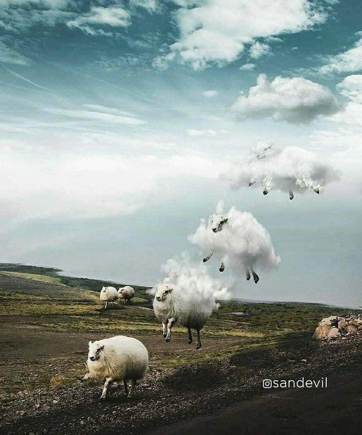...