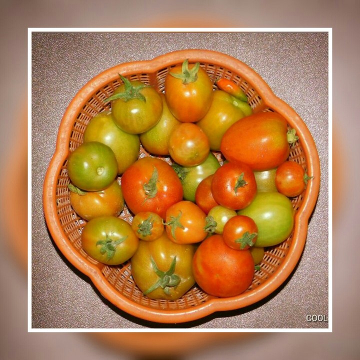 Vegetables