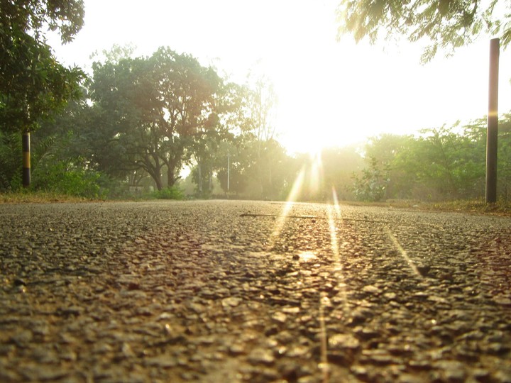 sun