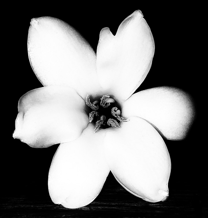 Beauty is in black <3